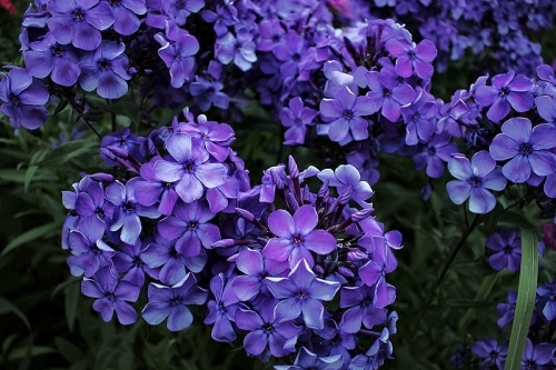 Старый замок&nbsp;